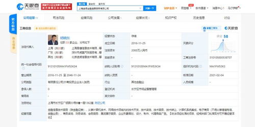 計(jì)算機(jī)信息技術(shù)咨詢服務(wù)的價(jià)值與應(yīng)用